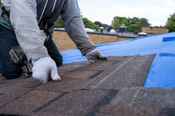 Roof Installation Near Me in Macarthur, WV