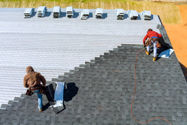 Best Roof Maintenance Services  in Macarthur, WV